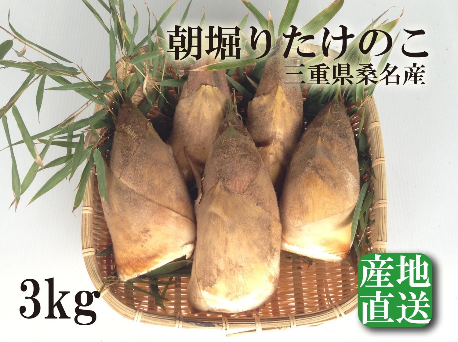 Amazon 朝堀りたけのこ３kg ３ ６本 米ぬか付 三重県桑名産 桑名のたけのこ 白子たけのこ 生たけのこ 竹の子 タケノコ 筍 たけのこ屋 たけのこ農園 産地直送 通信販売 産直 通販 直販 こだわり新鮮ストアー たけのこ 通販