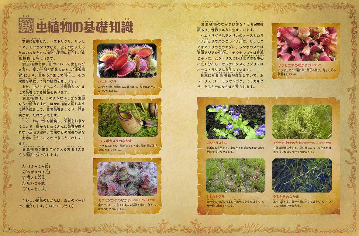 信頼 ｔｒｕｓｃｏ 流動棚用 樹脂ホイールコンベヤ F１８ワイド ｐ２５ｘｌ３０００ V1870up 別途運賃かかります Fucoa Cl