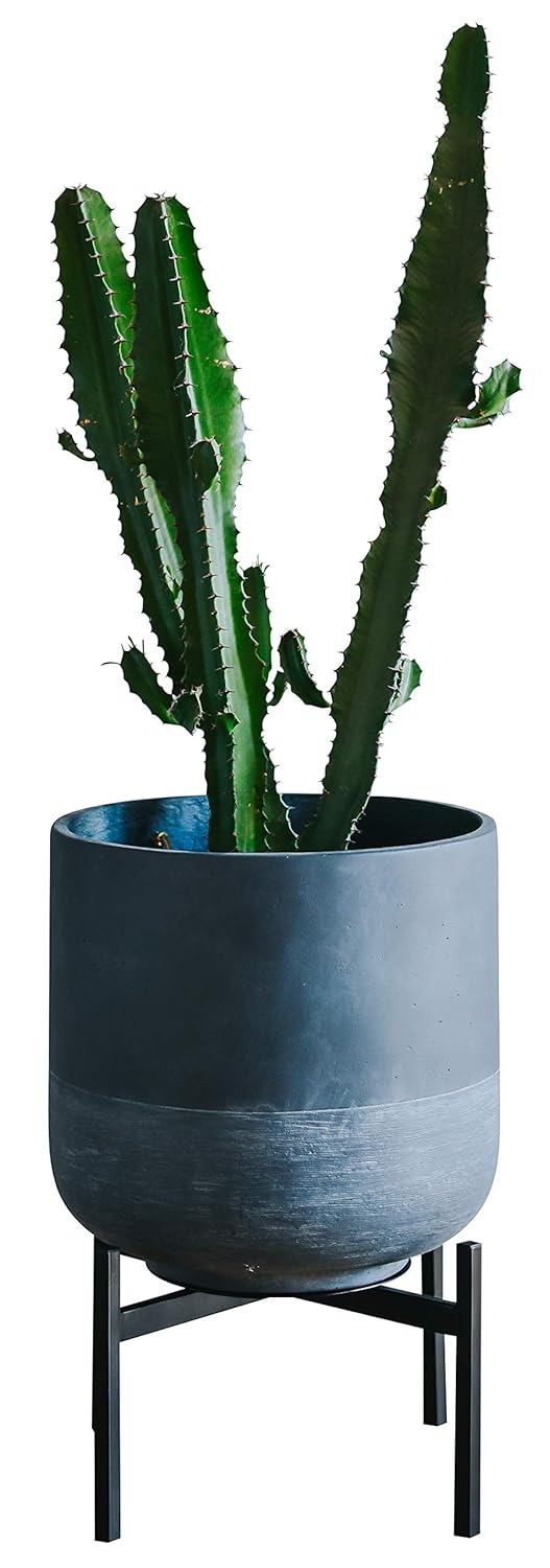 Plant Stand for Indoor & Outdoor Pots - Black, Metal Potted Plant Holder for House, Garden & Patio - Sturdy, Galvanized Steel Pot Stand - Stylish Mid-Century Patented Design - Low, By Thorne & Co.