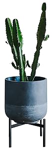 Plant Stand for Indoor & Outdoor Pots - Black, Metal Potted Plant Holder for House, Garden & Patio - Sturdy, Galvanized Steel Pot Stand - Stylish Mid-Century Patented Design - Low, By Thorne & Co.