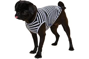 Little Beast Dog Clothes for Large Dogs, Medium Dogs, and Small Dogs (Dog Shirts Come in Multiple Colors and Styles) - Size: Large Dogs, Black/Blue