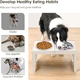 Aystkniet Raised Dog Bowls with Stand 5 Heights 8-35cm, 2 Stainless Bowls view 3