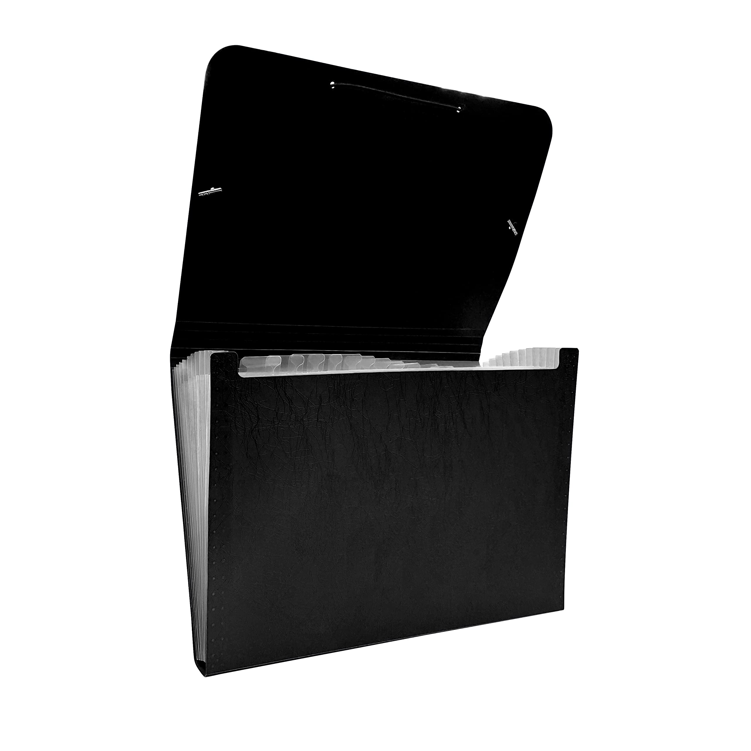 Raylu Paper® - Accordion Sorting Folder 12 Pockets Opaque Plastic Folder with Dividers for Office (Black)