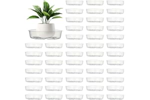 Voittozege 50 Pcs Clear Plant Saucers, 6 Inch Clear Plastic Plant Pot Saucer Flower Water Tray, Round Small Plant Plate for G