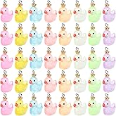 COGCHARGER 40Pcs Resin Duck Charms Mini Duck with Crown Pendants Miniature Figurines Cute Animal Charms for Bracelets Necklace Earrings Jewelry Making DIY Craft Supplies