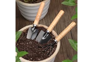 Succulent Tool Kit - 3PC Mini Gardening Set with Rust-Proof Iron Heads & Comfortable Wood Handle, Essential Hand Tools for Pr