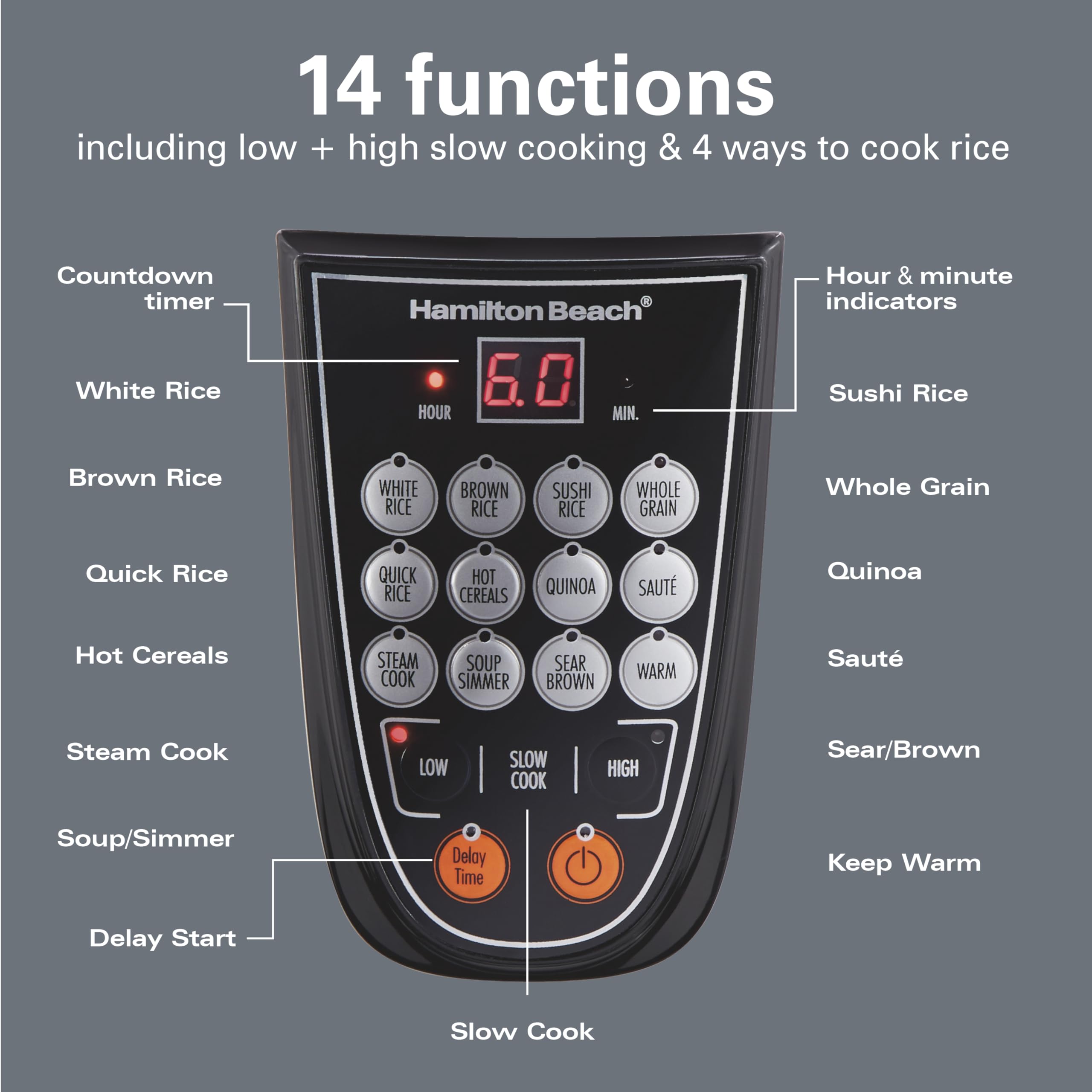 Hamilton Beach Digital Programmable Rice and Slow Cooker & Food Steamer, 20 Cups Cooked (10 Cups Uncooked), 14 Pre-Programmed Settings for Sear Sauté, Hot Cereal, Soup, Nonstick Pot, Stainless Steel (37571MN)