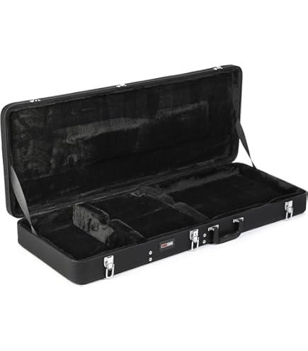 Amazon.com: Ibanez FRH100C Hardshell Guitar Case for TOD10N and