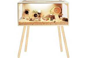 Prolee Hamster Cage Wooden Chew Proof, Extra Large Mice and Rat Habitat Openable Top with Acrylic Sheets Solid Built Small Animal Cage with Leg Stands, 32 Inch Long