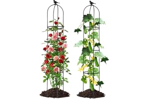 Lalahoni Garden Trellis for Climbing Plants, 5.6 feet Tall Garden Obelisk Trellis Climbing Plant Outdoor Support Potted Vine Flower Rose Vegetable Cucumber Trellis Raised Bed, Lightweight, 2 Pack