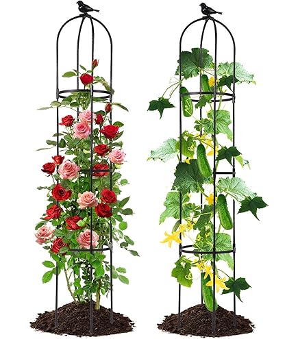 Obelisk Trellis White Plastic Coated Stainless Steel Garden For