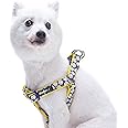 Blueberry Pet 2 Patterns Soft & Comfy Step-in Loving Daisy Prints Padded Dog Harness, Chest Girth 20" - 26", Medium, Adjustable Harnesses for Dogs
