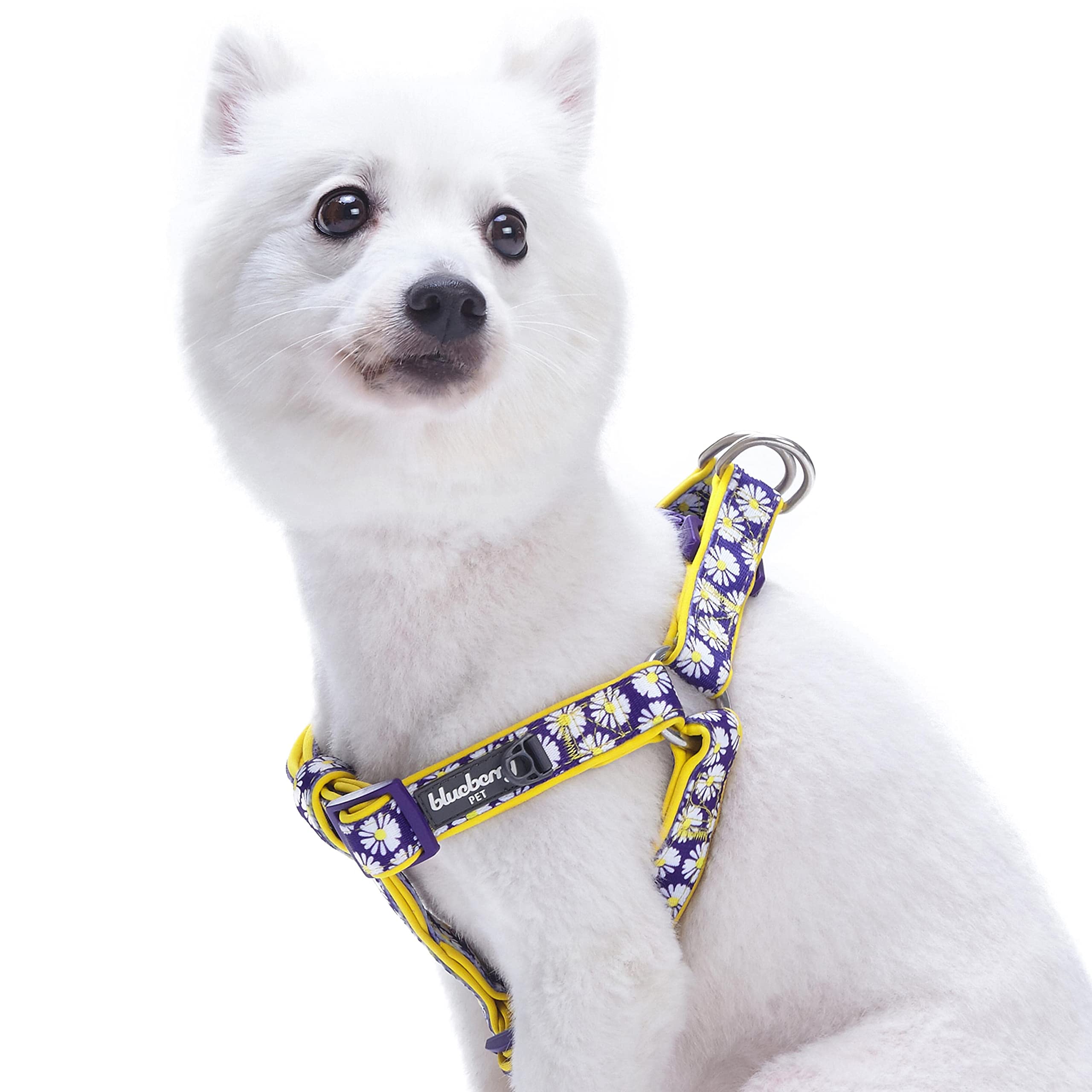 Blueberry Pet Comfy Step-in Loving Daisy Prints Padded Dog Harness, Chest Girth 51cm-66cm, Adjustable Harnesses for Dogs