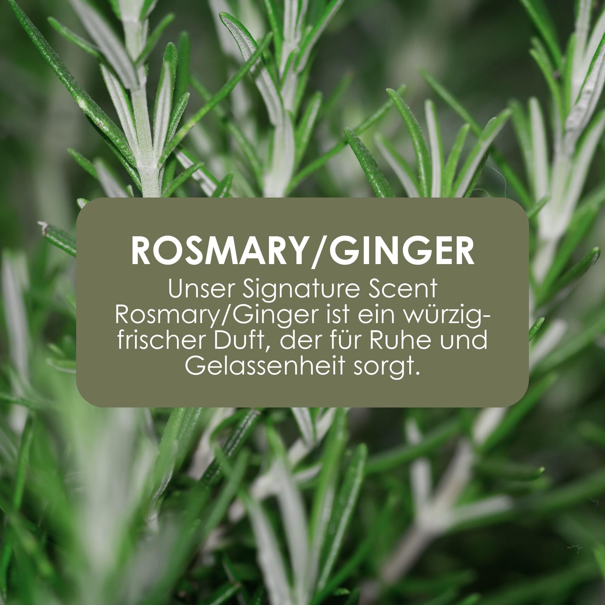 Jean & Len Handseife Rosemary & Ginger, ohne Parabene, 250 ml 5