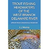 TROUT FISHING HEADWATERS OF THE WEST BRANCH DELAWARE RIVER: UPRIVER FROM CANNONSVILLE RESERVOIR