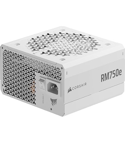 Amazon.com: CORSAIR RMX White Series, RM750x, 750 Watt, 80+ Gold