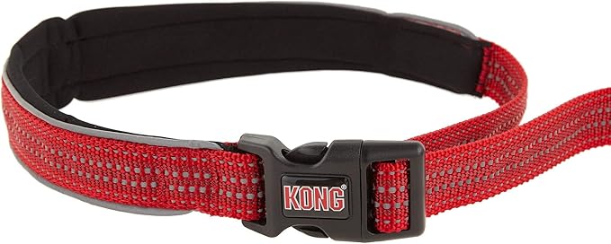 kong reflective traffic dog leash