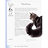 ASPCA Complete Guide to Cats: Everything You Need to Know About Choosing and Caring for Your Pet (Aspc Complete Guide to) - Image 4