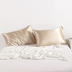NTBAY 2 Pack Satin Standard Pillowcases for Hair