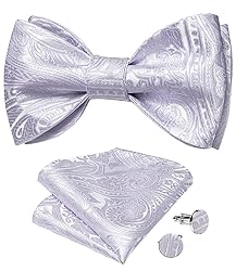 DiBanGu Light Purple Silk Bow Tie Set for Men