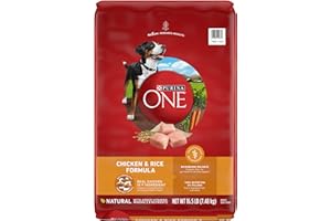 Purina ONE Chicken and Rice Formula Dry Dog Food - 16.5 lb. Bag