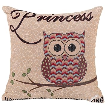 Amazon Com Goldy Wendy Owl Embroidery Throw Pillow Case