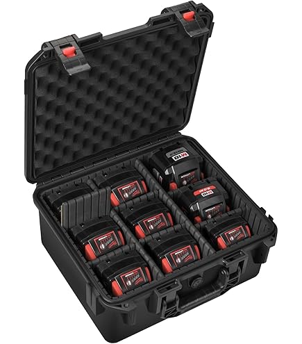 Amazon.com: LOTOCASE Storage Case for Milwaukee Battery