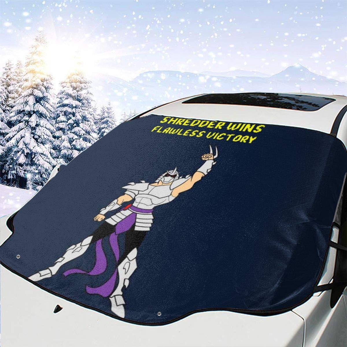 Which Is The Best Sun Shade Ninja Turtles