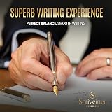 Scriveiner Silver Chrome Fountain Pen with Schmidt Nib Gold Plating Gift Set view 4