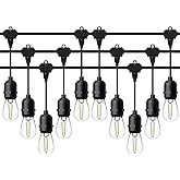 GOODSMANN LED Low Voltage String Lights 12V AC 50FT 10PCS 2W Bulbs 135 Lumens Hanging Landscape Lighting 2800K String Weather