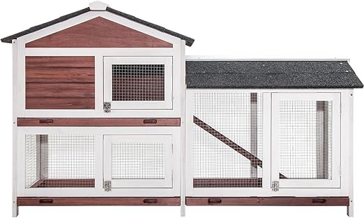 king charles spaniel x poodle