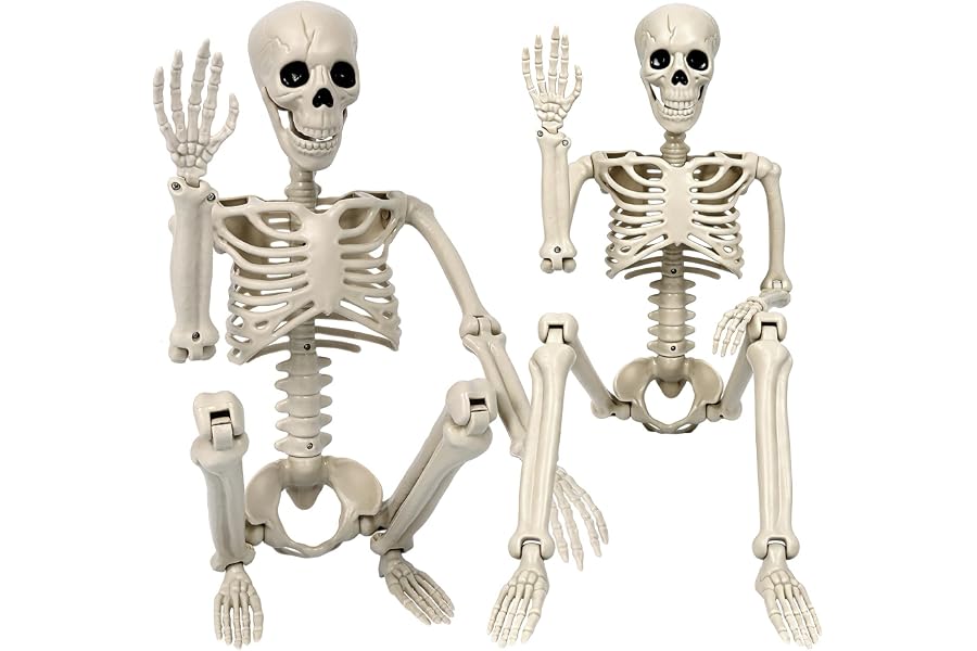 KANPONN 2 Pack Skeleton Halloween Decorations-3 ft Full Body Posable Joints | 36'' Plastic Human Skeletons for Halloween,Spoo