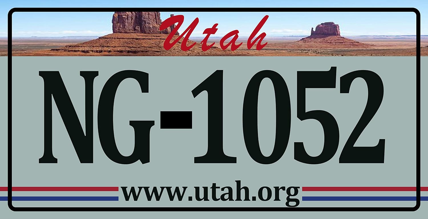 Set of 10 metal USA car LICENSE PLATES - replicas of real American plates (lot V1), Multi color - Image 4