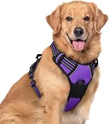 rabbitgoo Large Dog Harness No Pull Reflective Front Back Clip XL Purple