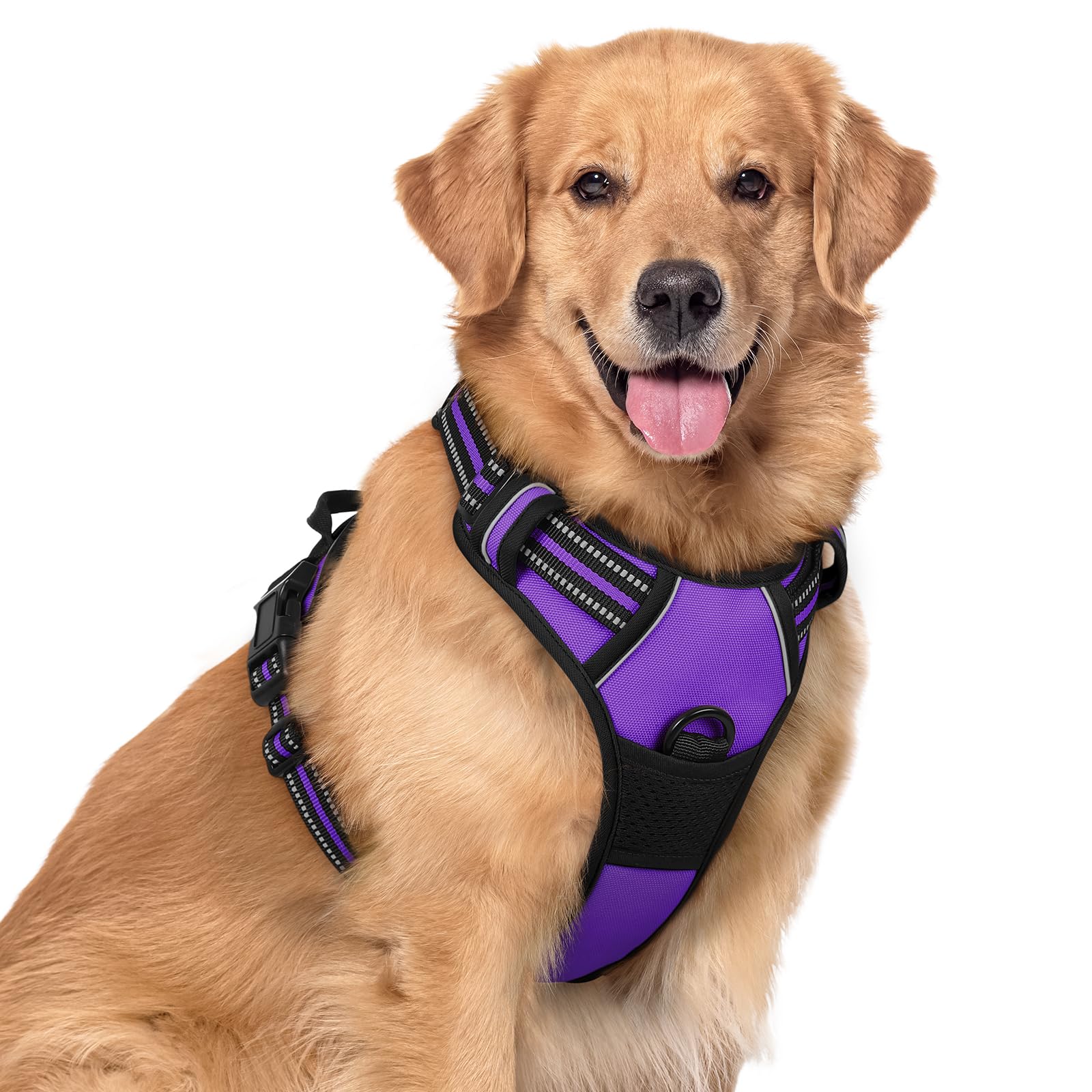 rabbitgoo Dog Harness Large Dog No Pull Pet Harness with 2 Leash Clips, Adjustable Soft Padded Pet Vest, Reflective No-Choke with Easy Control Handle for Training or Walking, Purple, XL
