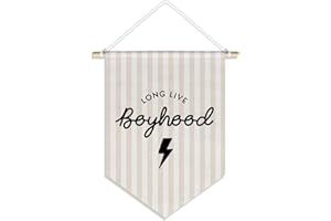 DSHFG Boys Room Playroom Decor, Long Live Boyhood Nursery Toddler Room Decor for Little Baby Boy, Boyhood Banner Pennant Wall Decor,15x11in