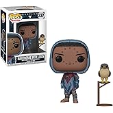 Funko POP! Games: Destiny Hawthorne with Hawk Collectible Figure, Multicolor