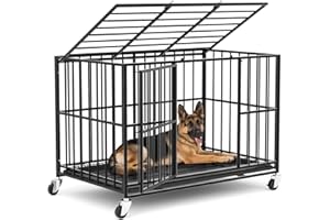 BLIGHTOR 48 in Heavy Duty Dog Crate Steel Escape Proof, Indoor Double Doors and Lockable Wheels,Removable Tray, for Extra Dog Breeds,XL,XXL