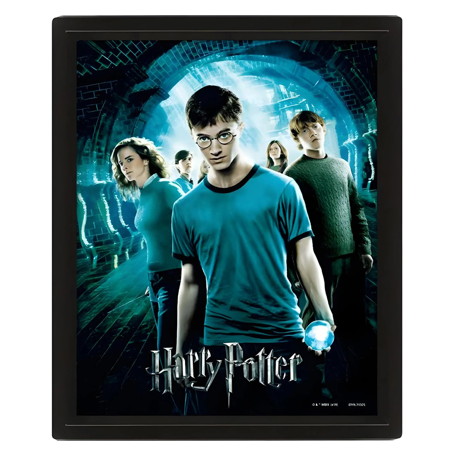 Pyramid International Harry Potter 3D Lenticular Poster of Order of the Phoenix 25cm x 20cm x 1.3cm in Box Frame - Official Merchandise
