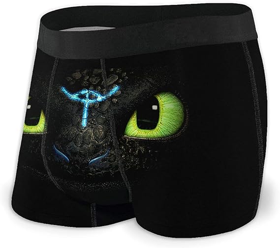 How to Train Your Dragon Men's Boxer Briefs, Breathable