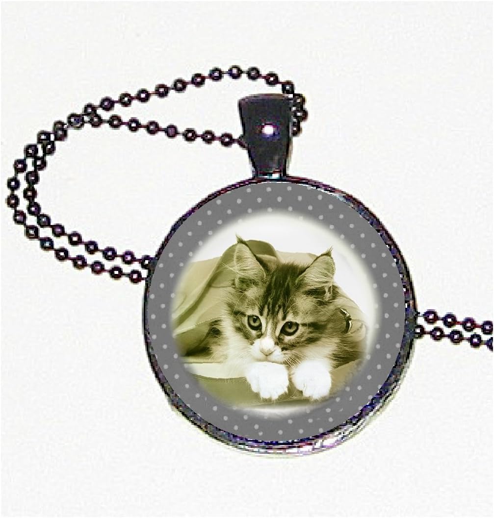 Cute Cat Collection - Time Out on Silver Plated Pendant w/ 24" Silver Plated Ball Chain