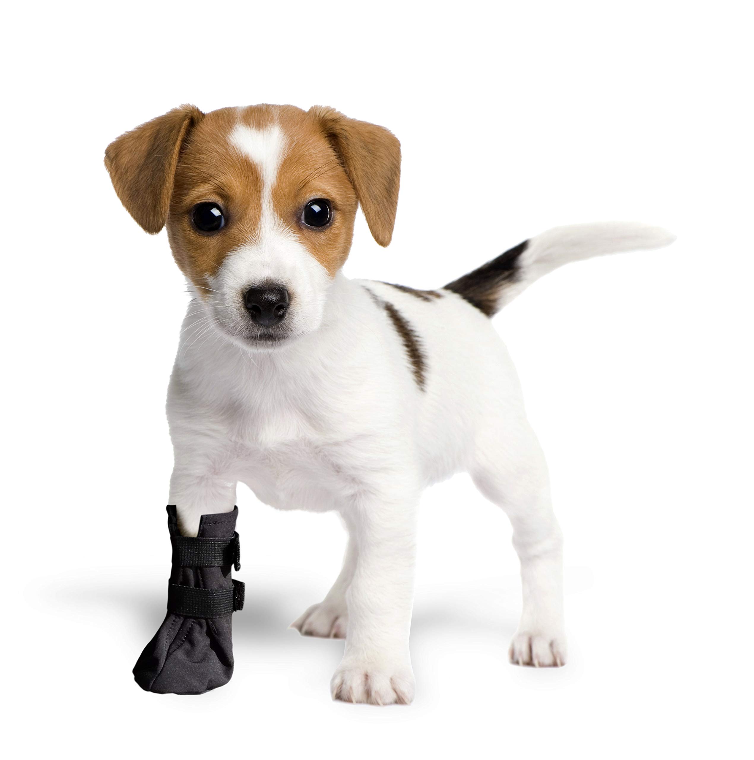 Grande Finale Breathable Protective Recovery Socks for Dogs, Cats, 100% Softshell - Surgical Protective Covers for Injuries, Stop Lightweight (2 (S) - 5 cm H - 9 cm, Black)