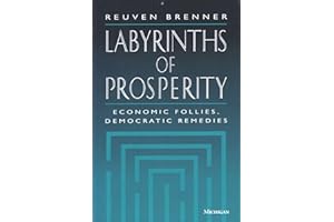 Labyrinths of Prosperity: Economic Follies, Democratic Remedies