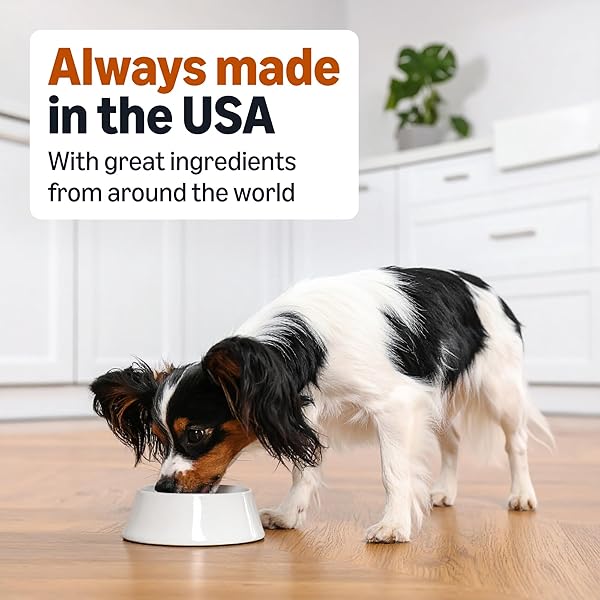 AMAZON BASICS WET DOG FOOD, TURKEY & SWEET POTATO DINNER, MADE WITH REAL TURKEY, 3.5 OZ CUP (PACK OF 12)
