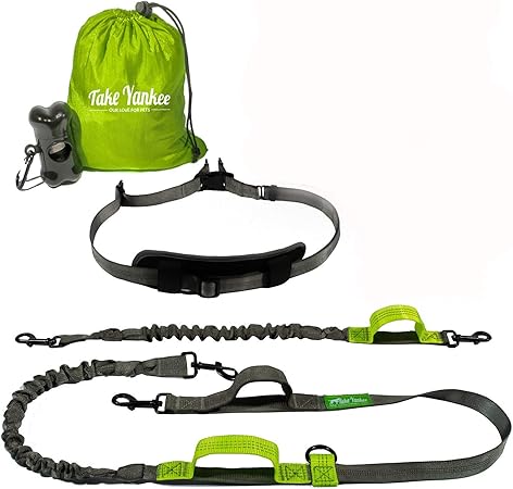 amazon double dog leash