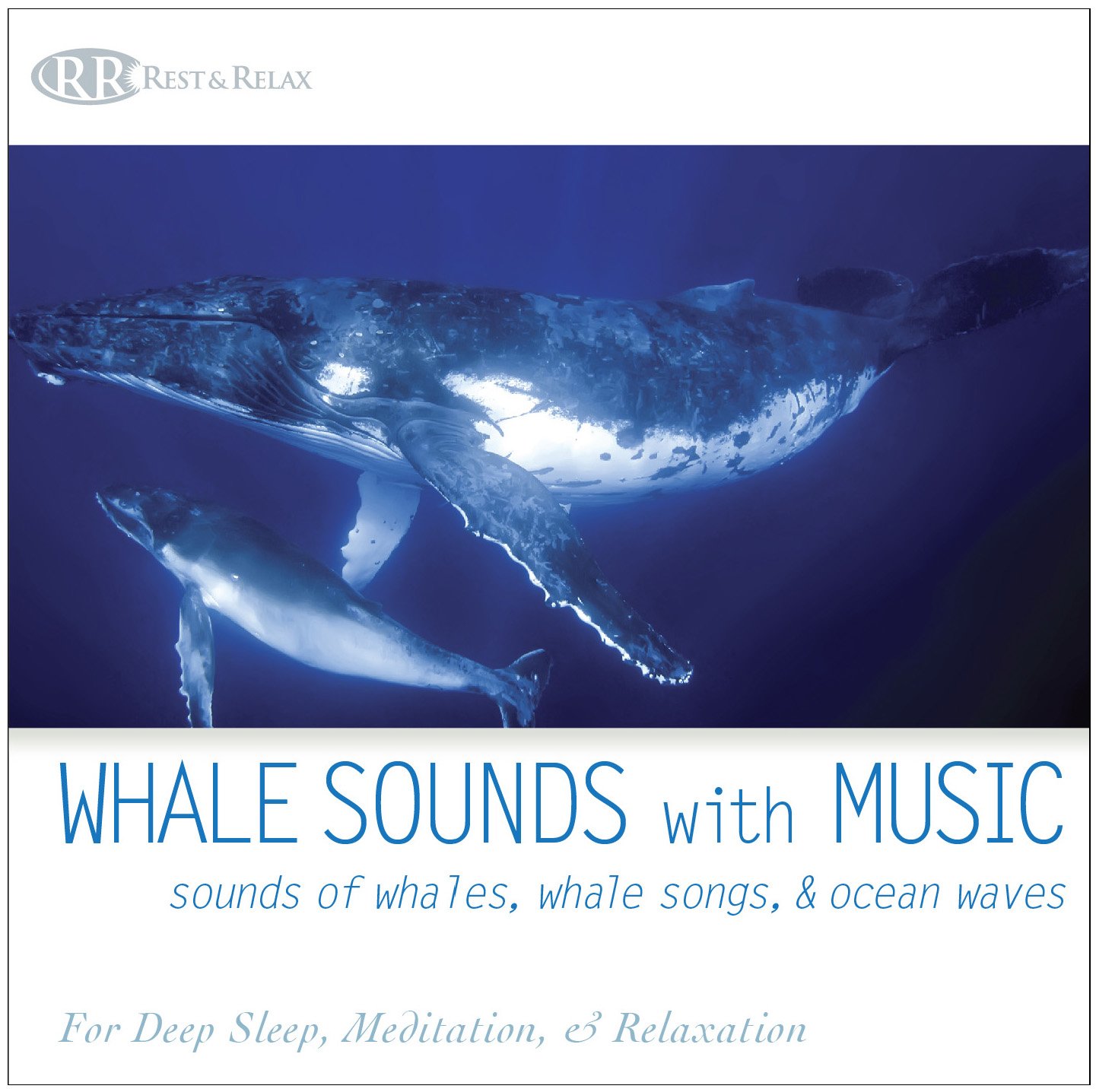 Photo 1 of Whale Sounds With Music: Sounds of Whales, Whale Songs, & Ocean Waves (For Deep Sleep, Meditation, & Relaxation)