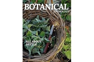All About Nettle