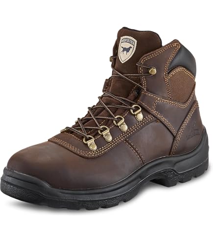 Amazon.com | Irish Setter 6 display picture 1