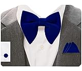 GUSLESON Velvet Big Bow Ties For Men Royal Blue