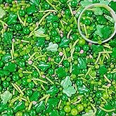 Cactus Sprinkles Edible Green Sprinkles for Cake Decorating Sugar Pearls Candy Spring Sprinkles Cookie Cake Topper Cupcake Ba